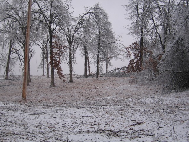 15. January 2007 - foto povečava