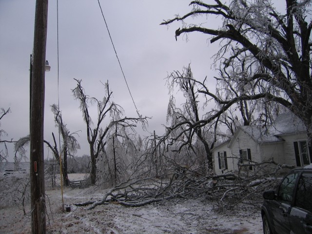 15. January 2007 - foto
