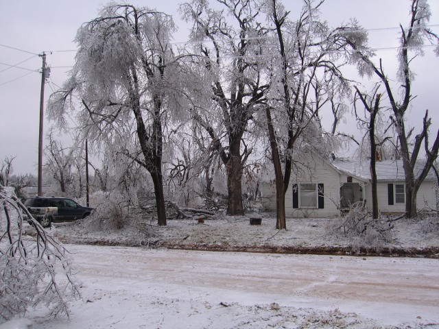 15. January 2007 - foto povečava