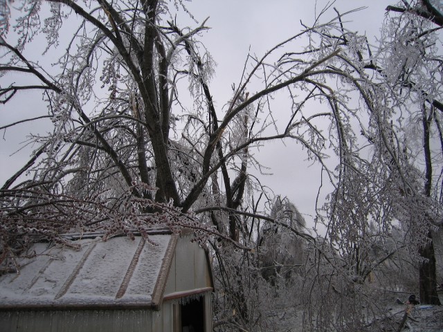 15. January 2007 - foto