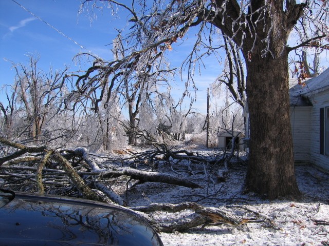 19. January 2007 - foto