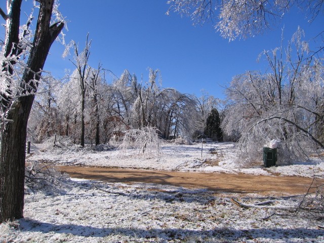 19. January 2007 - foto povečava