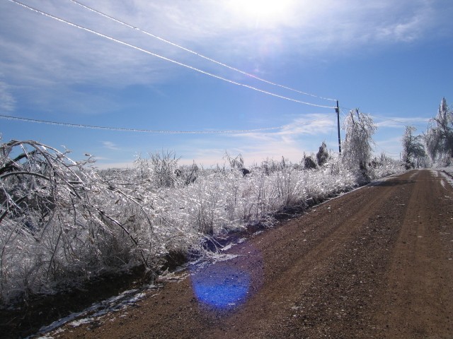19. January 2007 - foto