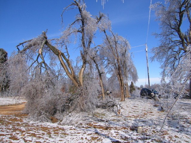 19. January 2007 - foto povečava