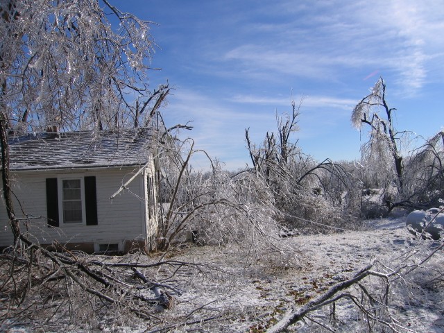 19. January 2007 - foto povečava