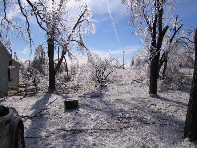 19. January 2007 - foto povečava