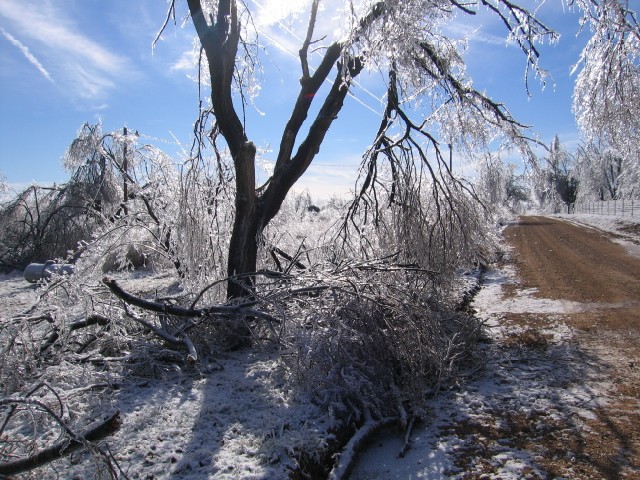 19. January 2007 - foto povečava