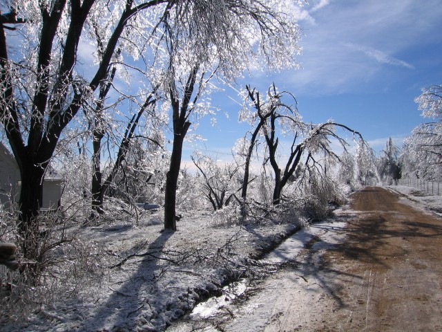 19. January 2007 - foto povečava