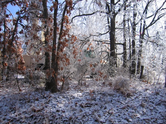 19. January 2007 - foto povečava