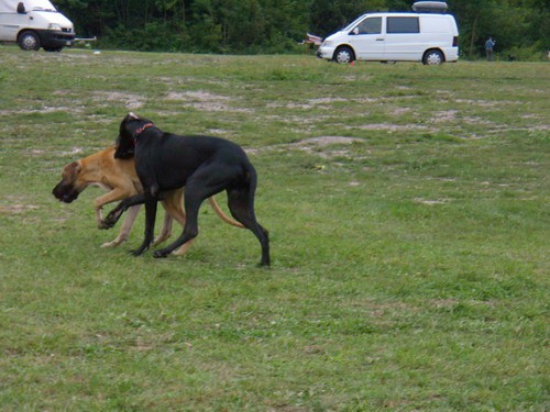 Cac Trbovlje 2008 - foto povečava