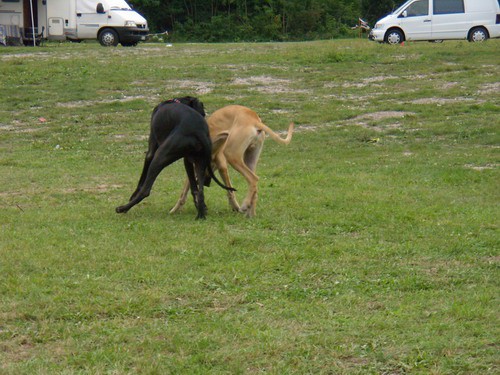 Cac Trbovlje 2008 - foto povečava