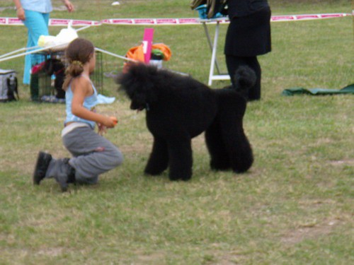 Cac Trbovlje 2008 - foto povečava