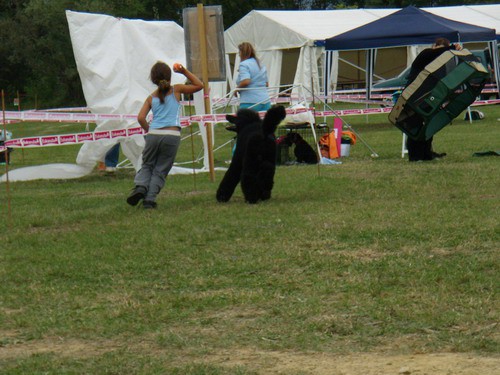 Cac Trbovlje 2008 - foto povečava