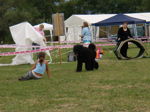 Cac Trbovlje 2008 - foto povečava