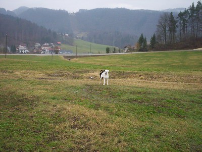 Sprehod - foto povečava