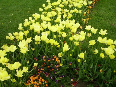 Arboretum Volcji potok - foto povečava