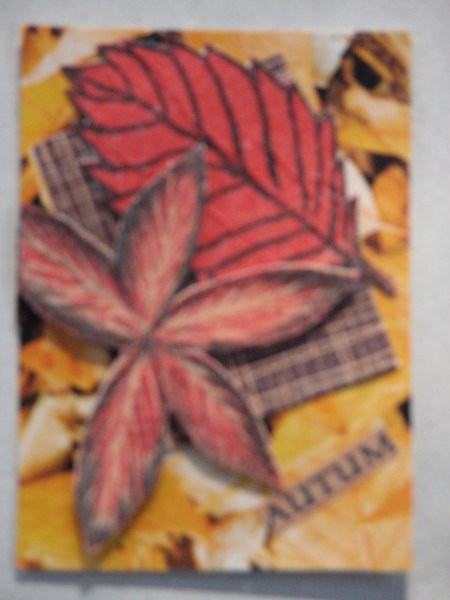 Autum leaves 1,
