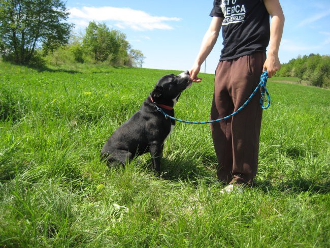 BUCO & PEGI - foto povečava