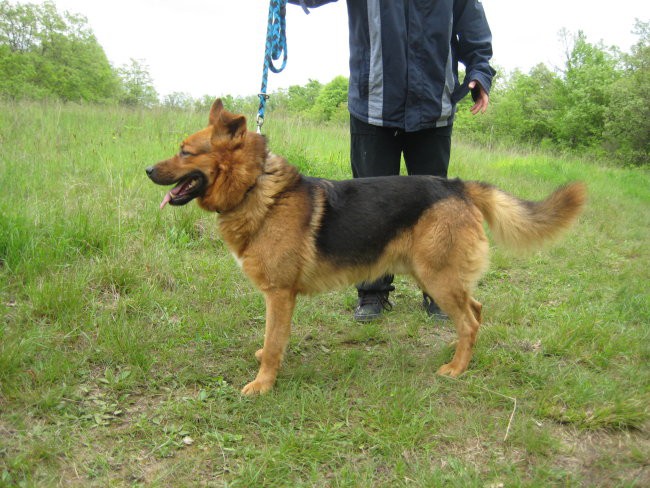 Hana & Lexi - foto povečava