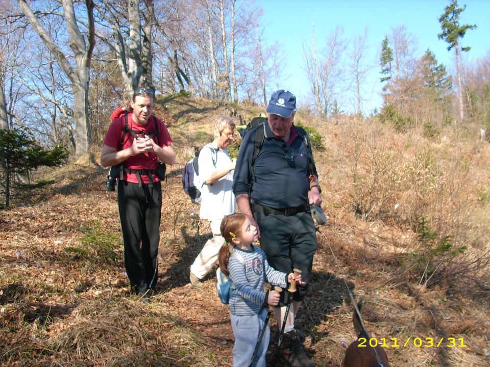 šmohor-malič - foto povečava