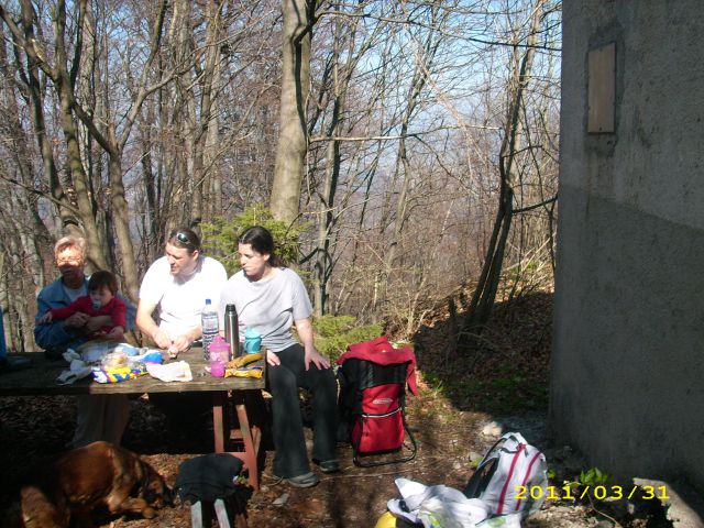 šmohor-malič - foto