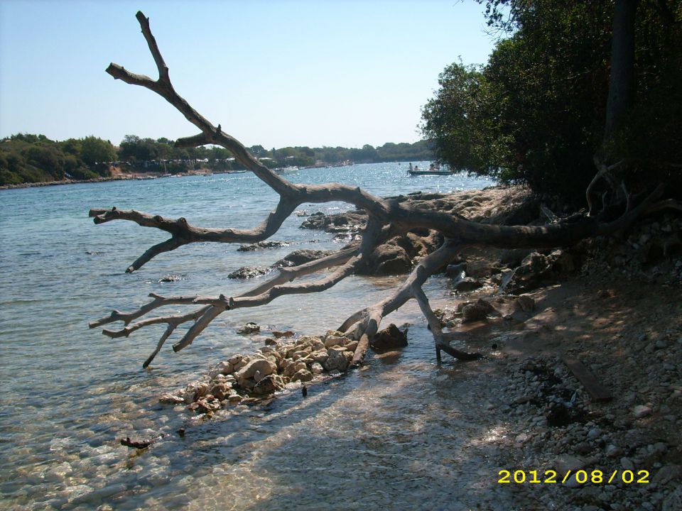 Morje julij 2012 - foto povečava