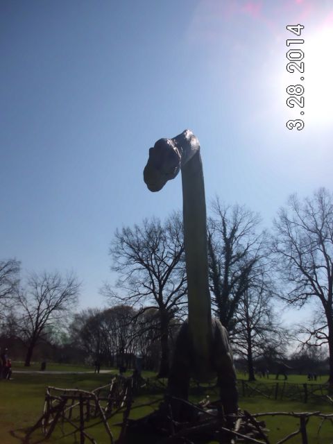Dino arboretum, 29.03.2014 - foto