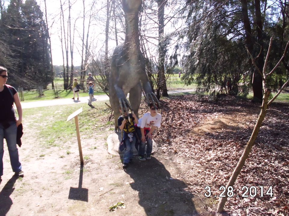 Dino arboretum, 29.03.2014 - foto povečava