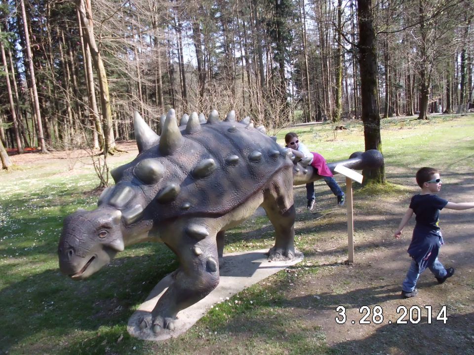 Dino arboretum, 29.03.2014 - foto povečava
