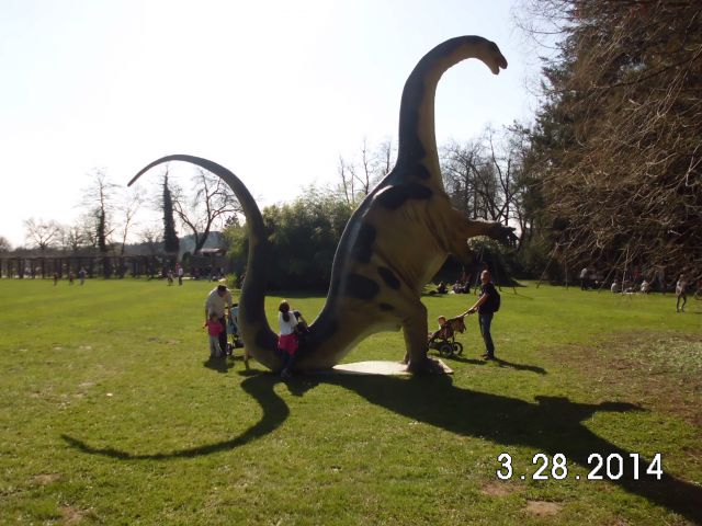 Dino arboretum, 29.03.2014 - foto