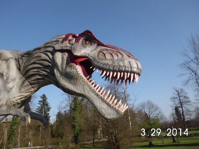 Dino arboretum, 29.03.2014 - foto