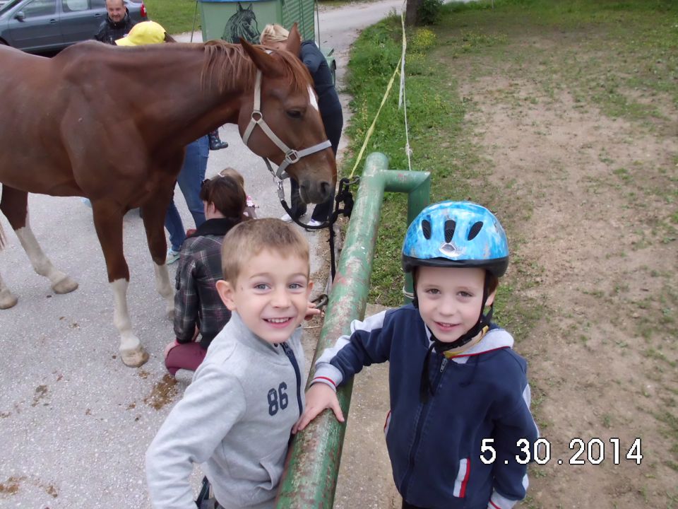 Anski vrh, izlet z vrtcem, maj 2014 - foto povečava