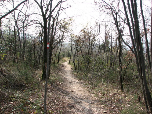 Vranjska Draga - Roland - foto povečava