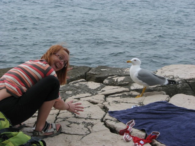 Rovinj - Roland - foto