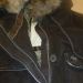 Zimska jakna Abercrombie&Fitch, velikost M (36)