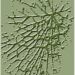 Tim holtz cracked