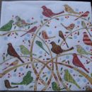 S74 (25x25)
