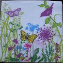 S75 (25x25)