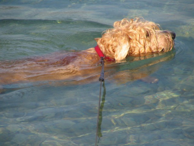 Bela na morju (junij-julij 2006) - foto