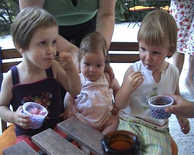 Ajša, Maša in Alja na sladoledu v Arboretumu