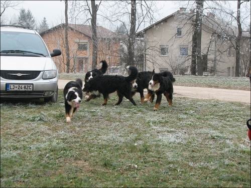 Berni sprehod, 22.12.2007 - foto povečava