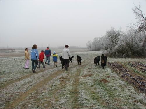 Berni sprehod, 22.12.2007 - foto povečava