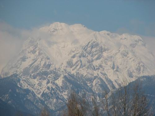 Zajčja dobrava,10.12..2005 - foto povečava