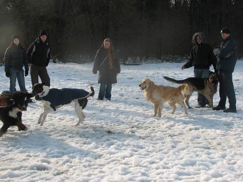 Zajčja dobrava,10.12..2005 - foto povečava