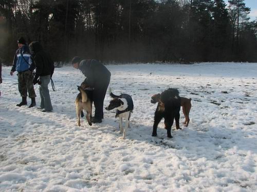 Zajčja dobrava,10.12..2005 - foto povečava