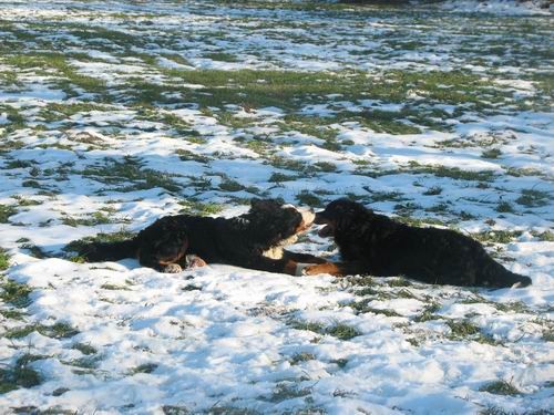 Atos na obisku pri Rini in Rondotu,18.12.2005 - foto povečava