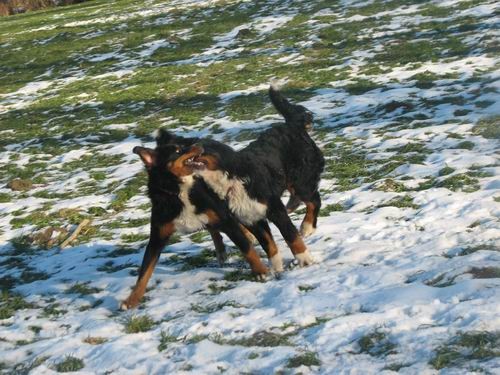 Atos na obisku pri Rini in Rondotu,18.12.2005 - foto povečava