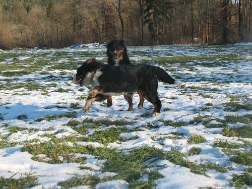 Atos na obisku pri Rini in Rondotu,18.12.2005 - foto povečava