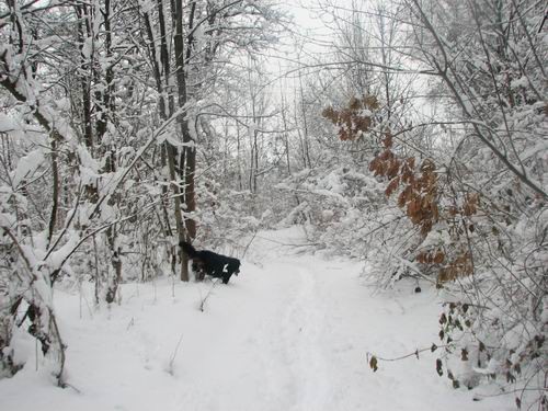 Atos na obisku pri Rini,28.12.2005 - foto povečava