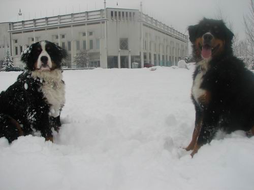 Atos na obisku pri Rini,28.12.2005 - foto povečava